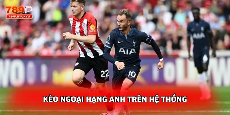 Cá Cược Bóng Đá 789P - Tham Gia Nhanh 2 Kèo Ngoại Hạng Anh trên hệ thống