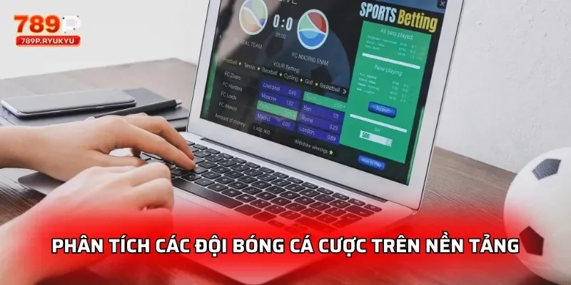 Bóng chuyền 789P - Cá Cược Olympic V.League 4 Phân tích các đội bóng cá cược trên nền tảng