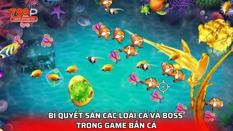 Các Loài Cá Và Boss Trong Game Bắn Cá 789P Chi Tiết Nhất 3 Bật mí mẹo săn cá siêu hấp dẫn newbie nên nắm