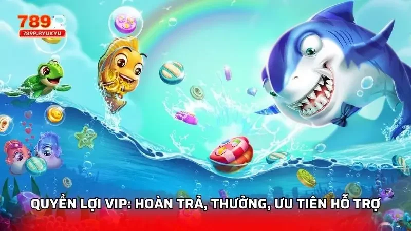 Khám Phá Bảng Xếp Hạng Và Hệ Thống VIP Trong Bắn Cá 789P 3 Quyền lợi cơ bản mà phía người chơi sẽ nhận được